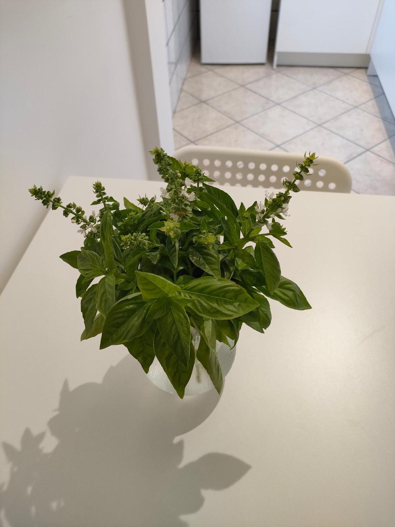 Lilla Housing Apartment Кастеламаре ди Стабия Екстериор снимка